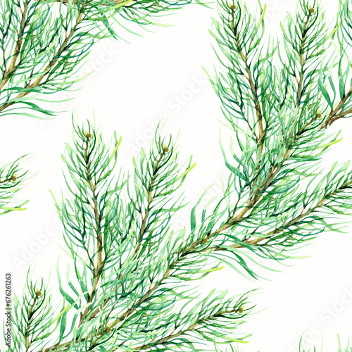 Watercolor Christmas evergreen pine tree branch seamless pattern. Hand drawn texture for new year holiday packing  label  logo design on white background
