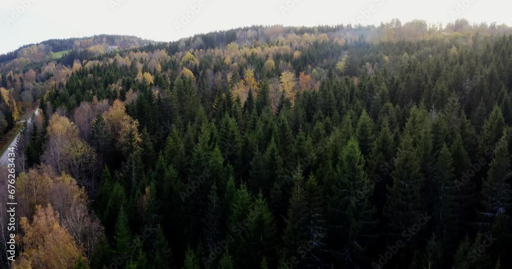 autumn in the mountains autumn in the mountains