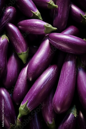 Wallpaper Mural Eggplant harvest: assortment of locally grown fresh Japanese eggplants at the farmer's market Torontodigital.ca