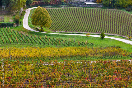 Obraz na płótnie Wineyards in St. Emilion, autumn. Agriculture industry in Aquitaine. France w salonie