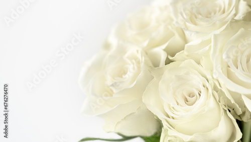 White background of roses flower. Greeting card. Summer floral composition. Copy space