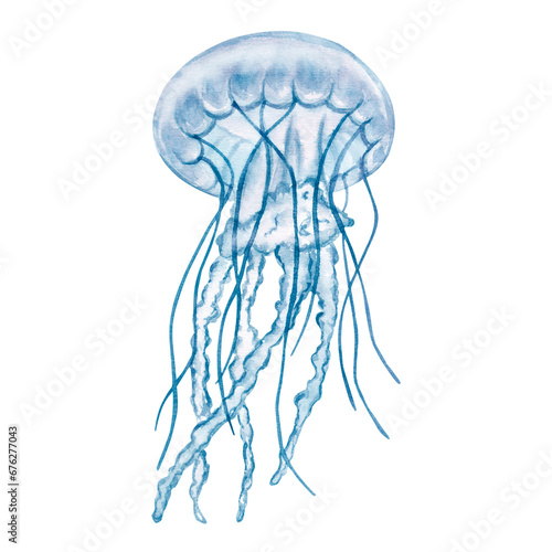 Transparent blue jellyfish, medusa. Deep sea toxic animal. Cartoon sketch aquarium decor. Hand-drawn watercolor illustration isolated on white background