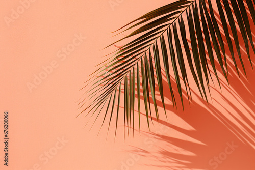 The tropical palm tree's lush leaves create captivating silhouettes against the vibrant old rose coral-colored wall.