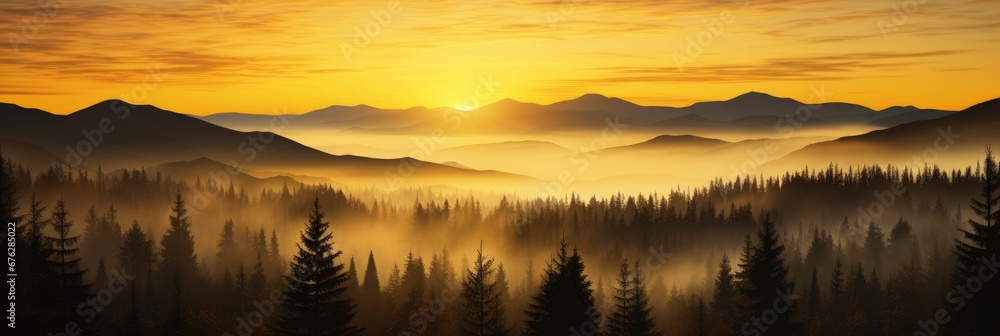 Foggy Autumn Coniferous Forest Landscape Aerial , Background Image For Website, Background Images , Desktop Wallpaper Hd Images