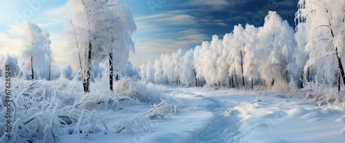 Frosty Winter Landscape Snowy Forest , Background Image For Website, Background Images , Desktop Wallpaper Hd Images © Pic Hub