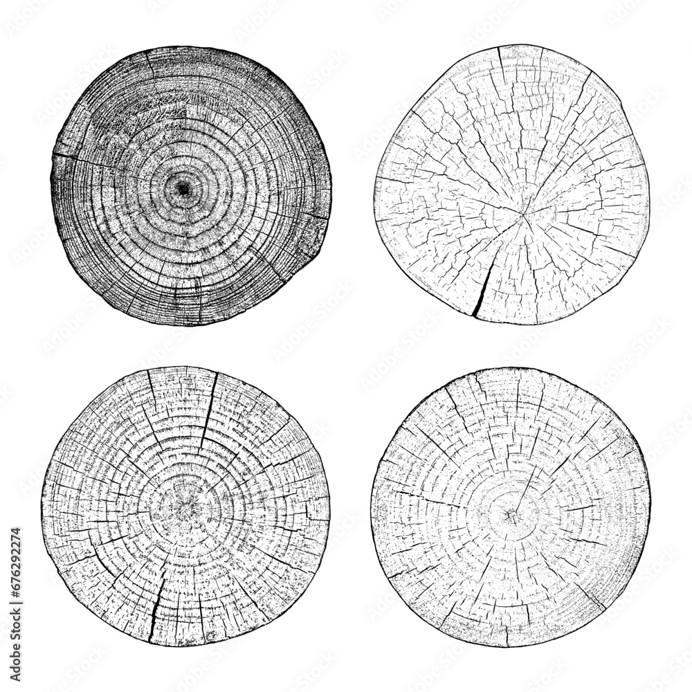 Tree wood texture on white background. Section tree rings cut slice. Round wooden design elements. Set vector illustration.