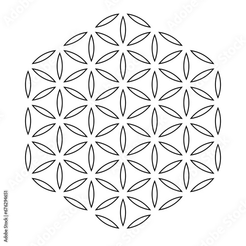 The Flower of Life Symbol. One of the basic sacred geometry shapes. Symmetry Vector illustration.