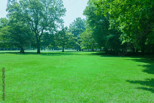 Park Lawn photo