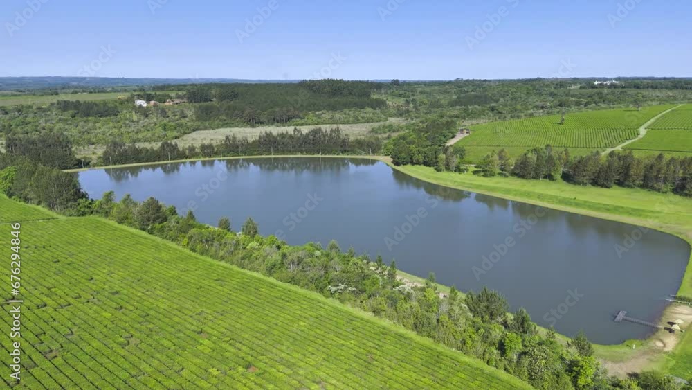 Aerial view of tea plantation with beautiful lake surrounded by trees in Misiones, Argentina Aerial view of tea plantation with beautiful lake surrounded by trees in Misiones, Argentina