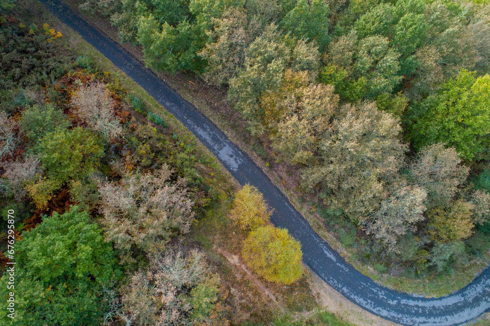 top aerial drone view of a rural road in a mountain forest