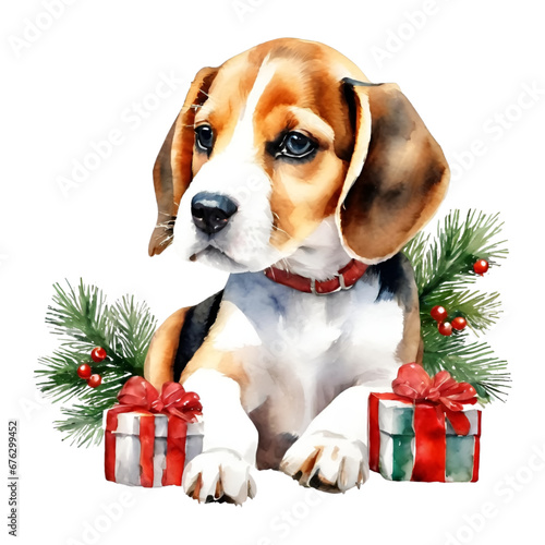beagle puppy with gift