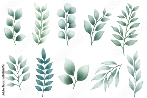 green leaves vector watercolor set 