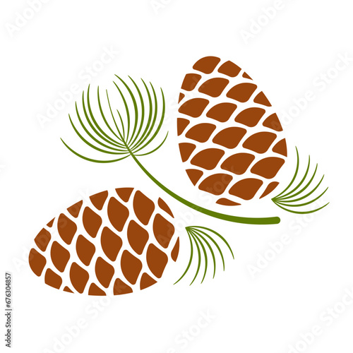 Pine branch with pinecones. Fir tree branch with evergreen needles and cones isolated on white background.