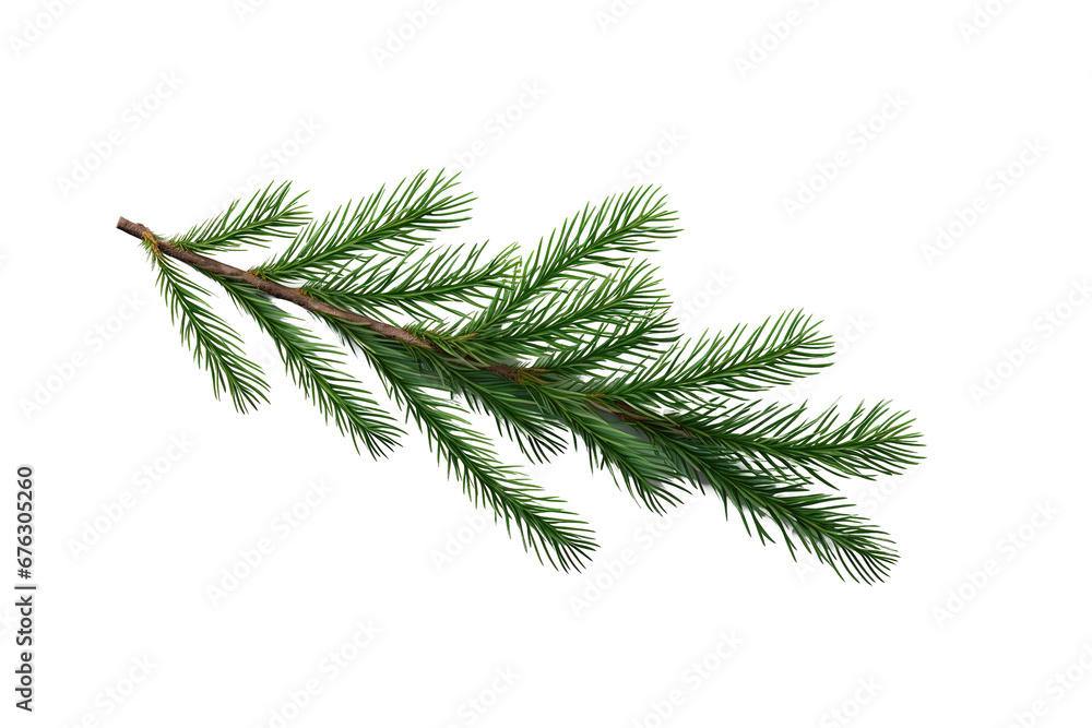 Christmas fir tree branch isolated Christmas fir tree branch isolated