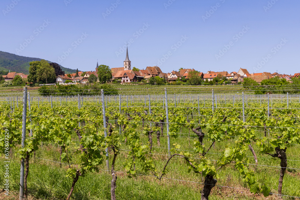 Townscape of typical picturesque Elsace village in France with little church and surrounded by vineyards