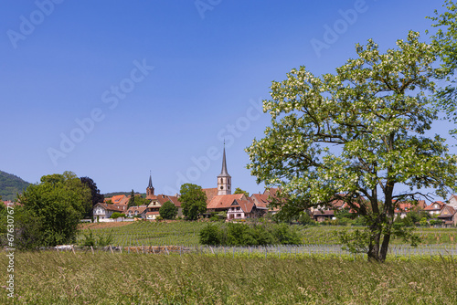 Townscape of typical picturesque Elsace village in France with little church and surrounded by vineyards