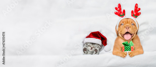 Happy mastiff puppy dressed like santa claus reindeer Rudolf holding gift box and lying with cozy kitten under white blanket at home. Top down view. Empty space for text