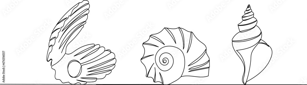 seashells sketch, continuous line drawing, vector seashells sketch, continuous line drawing, vector
