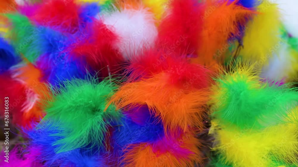 Multi colored feathers flowing in breeze Multi colored feathers flowing in breeze