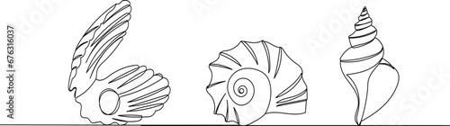 seashells sketch, continuous line drawing, vector