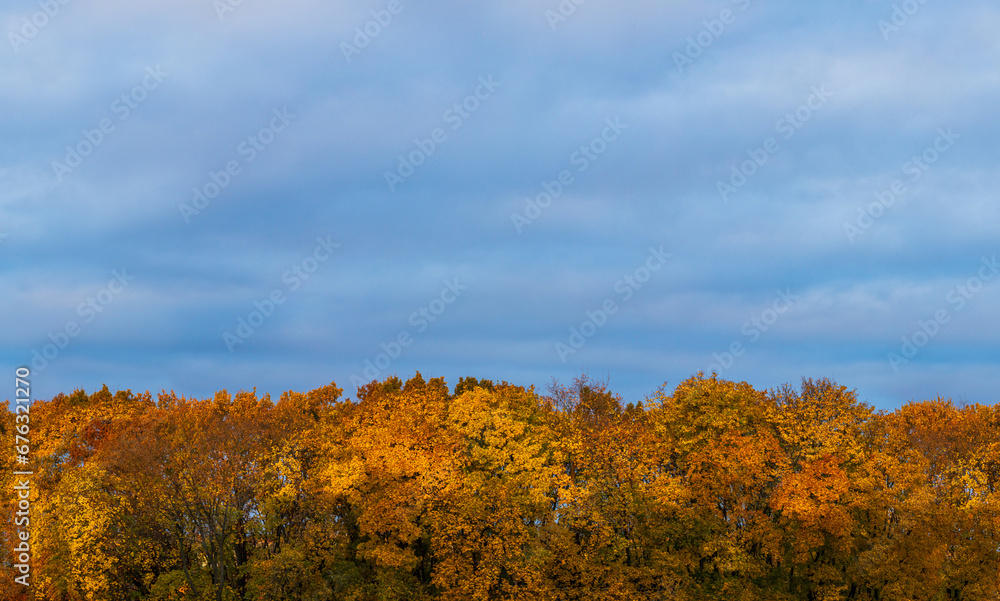 Horizontal seamless landscape background with orange woods and blue overcast sky