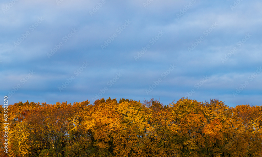 Horizontal seamless landscape background with orange woods and blue overcast sky Horizontal seamless landscape background with orange woods and blue overcast sky
