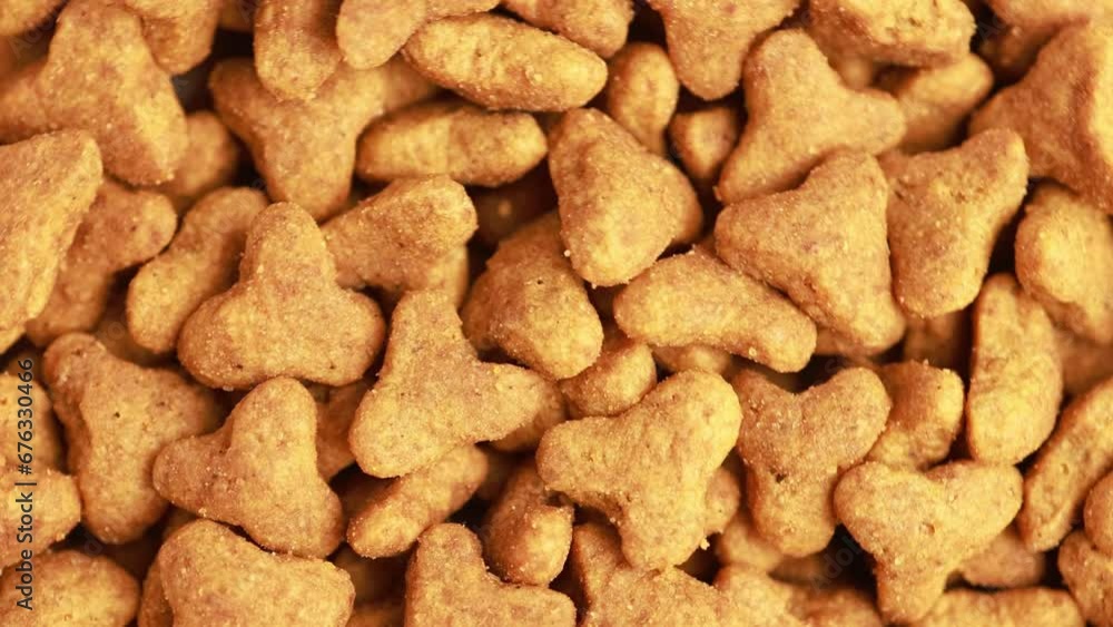 Dry cat food, slow motion video. Dry cat food, slow motion video.