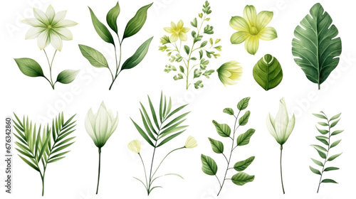 Set of watercolor green flowers leaves and twigs on a transparent background, png photo
