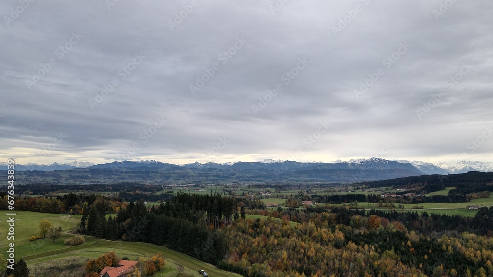 Naklejka premium Verdant Wilderness: Lush Panorama of the Forest Canopy