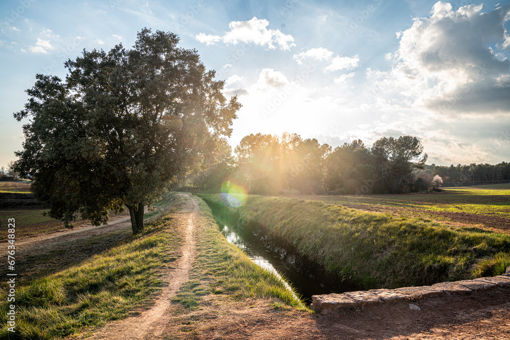 Towards New Horizons: Road, River and Holm Oak in Future Perspective