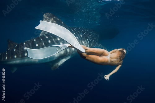 Woman with freediving fins swims with giant whale shark in blue ocean. Shark underwater and slim girl