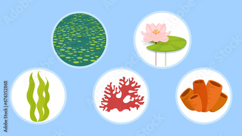 Set of flat icons with seaweed and lotus. Vector illustration