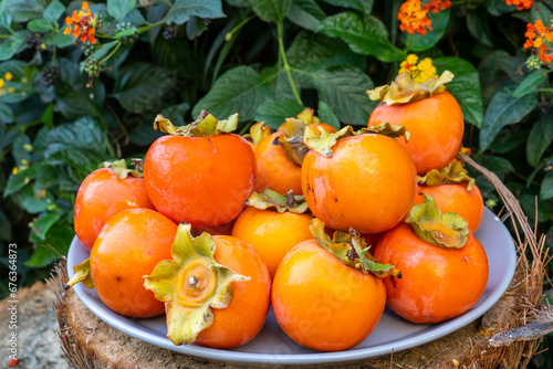 Billede på lærred Diospyros, kaki, diospyros kaki, persimmon, trabzon, japanese, karaağaç, mediter