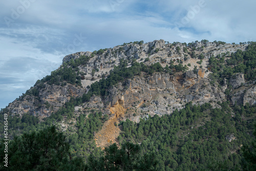 Forest of Austrian pine and Maritime pine over limestones mountains in the Natural Park of Cazorla, Segura y las Villas, in the province of Jaen, Andalusia, Spain