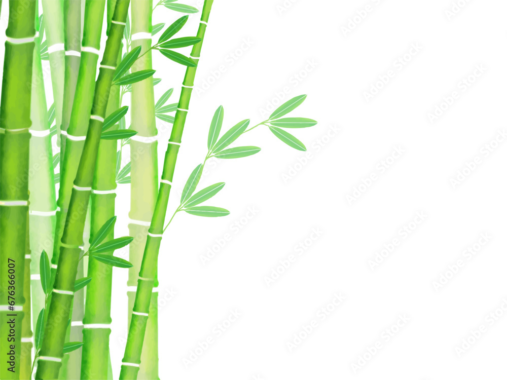 Naklejka premium 竹林のフレーム 水彩画 ベクターイラスト