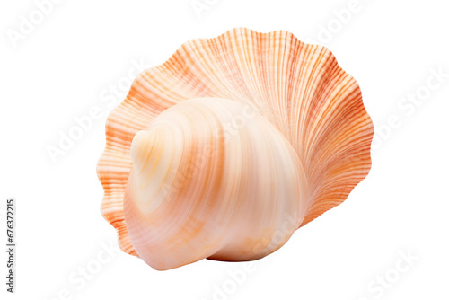 Elegant Isolated Seashell on Transparent Background, PNG, Generative Ai