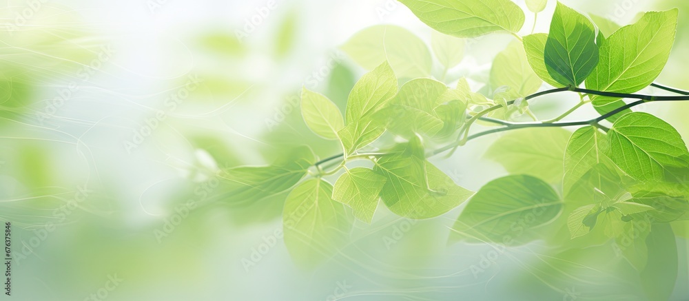 In the summer garden the abstract floral texture and light play beautifully against the white background highlighting the natural beauty of the green leaves capturing the essence of the sea