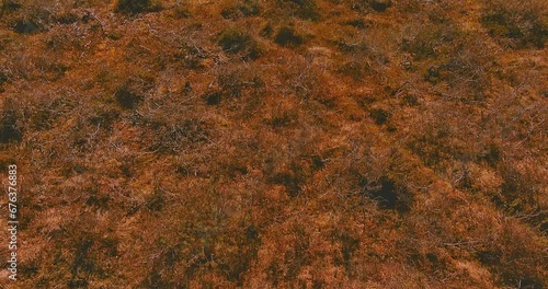 Aerial view of swamp along the road E6 (Bugoyfjordveien) in sunny spring weather, Norway. photo