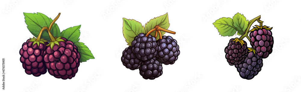 Fototapeta premium Cartoon blackberry fruit. Vector illustration
