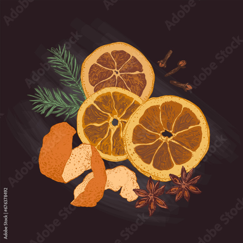 Hand drawn mulled wine ingredients, dried orange slices close up illustration