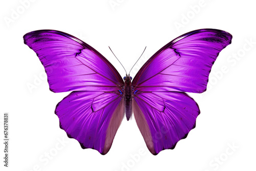 Rendering of a Standalone Purple Butterfly on Transparent Background, PNG, Generative Ai