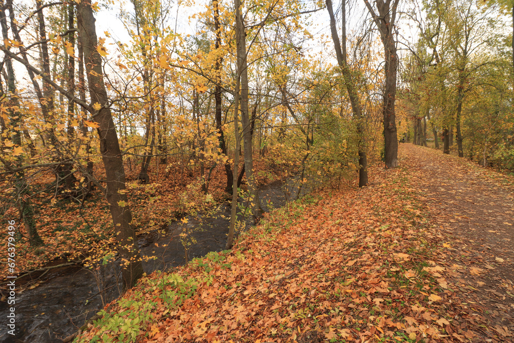 Herbstlicher Geraradweg bei Arnstadt