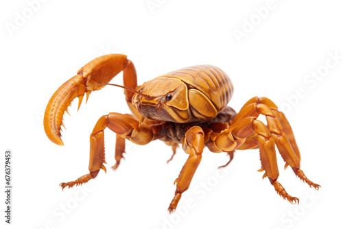 Realistic 8K Illustration of a Scorpion on Transparent Background, PNG, Generative Ai © TheLogoTip