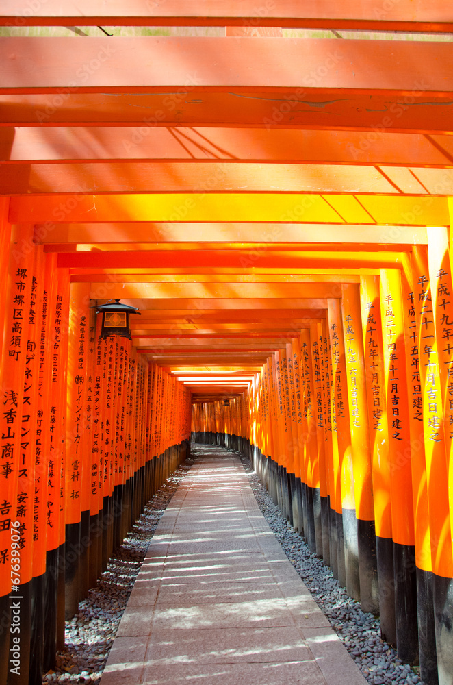 Naklejka premium kyoto japan, landmark, beautiful, journey, kyoto, spring, palace, japan, Sakura