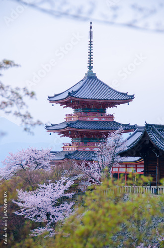 kyoto japan, landmark, beautiful, journey, kyoto, spring, palace, japan, Sakura