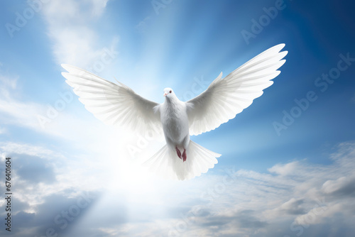 Heavenly Light: Peaceful Dove Descent © Andrii 