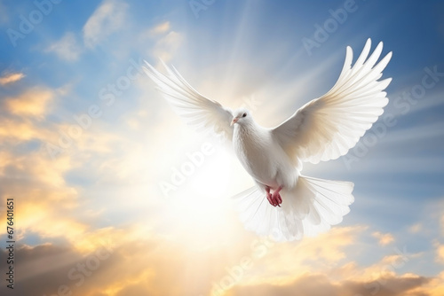 Radiant Peace: Heavenly Dove Soars © Andrii 