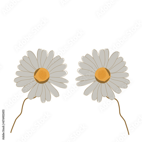 Illustration of daisy flowers