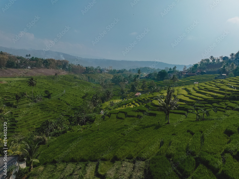 Java Landscape in the Morning with Hills & Rice FIeld