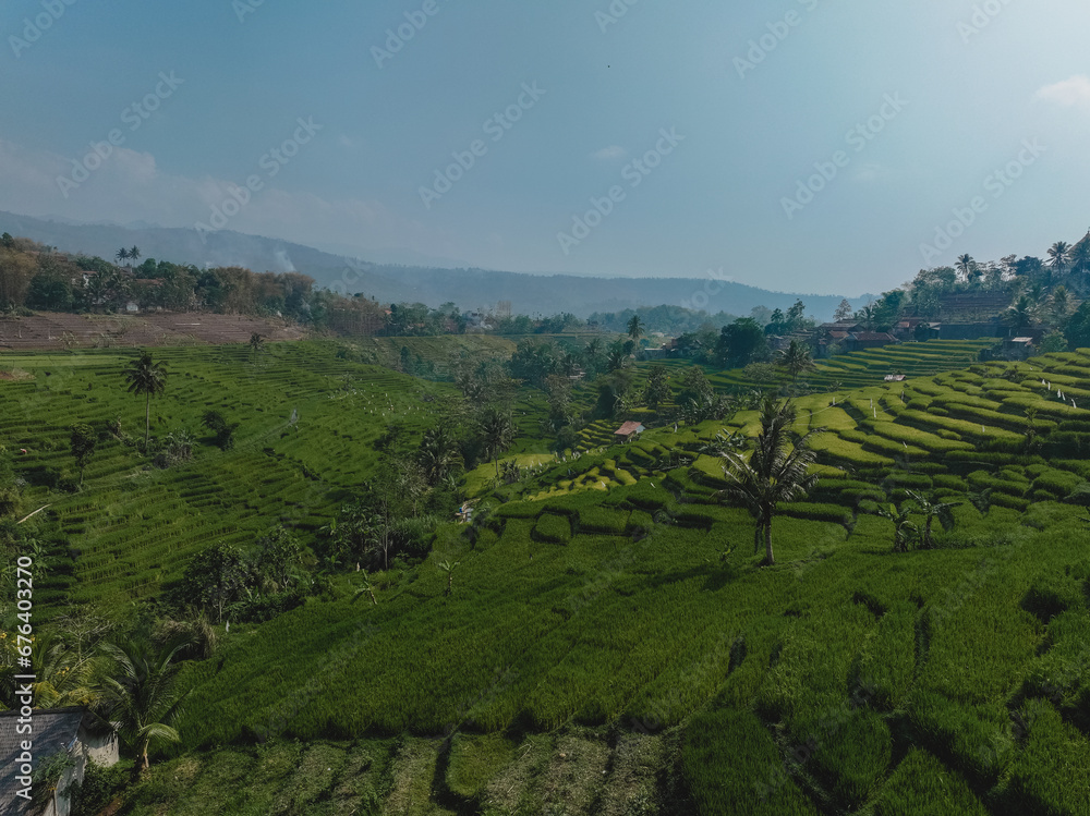 Java Landscape in the Morning with Hills & Rice FIeld Java Landscape in the Morning with Hills & Rice FIeld